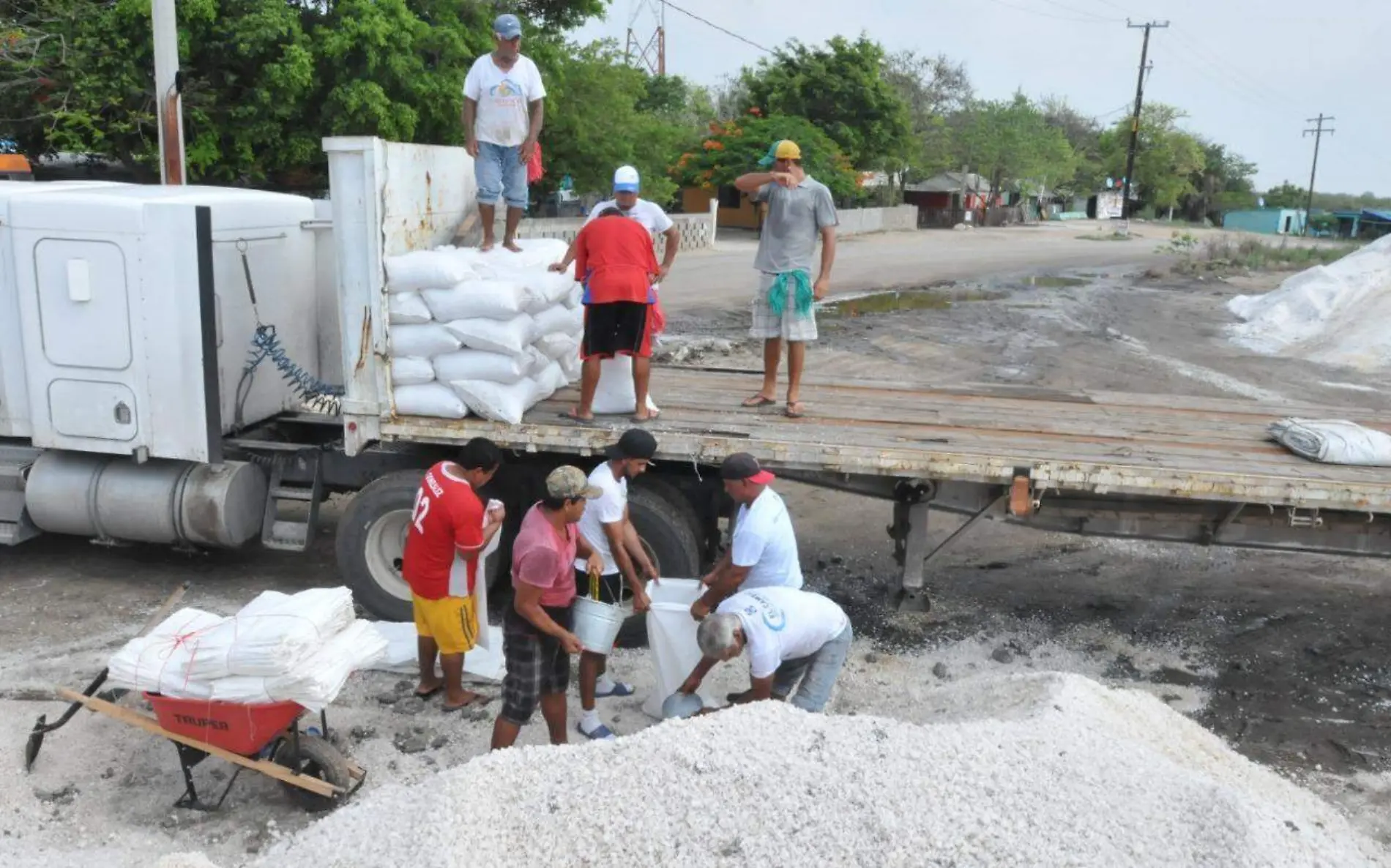 Alrededor de tres mil familias altamirenses, al sur de Tamaulipas, que dependen de la producción de sal en grano que cosechan en la zona de Las Marismas, se quedan sin trabajo al terminar el periodo de este producto